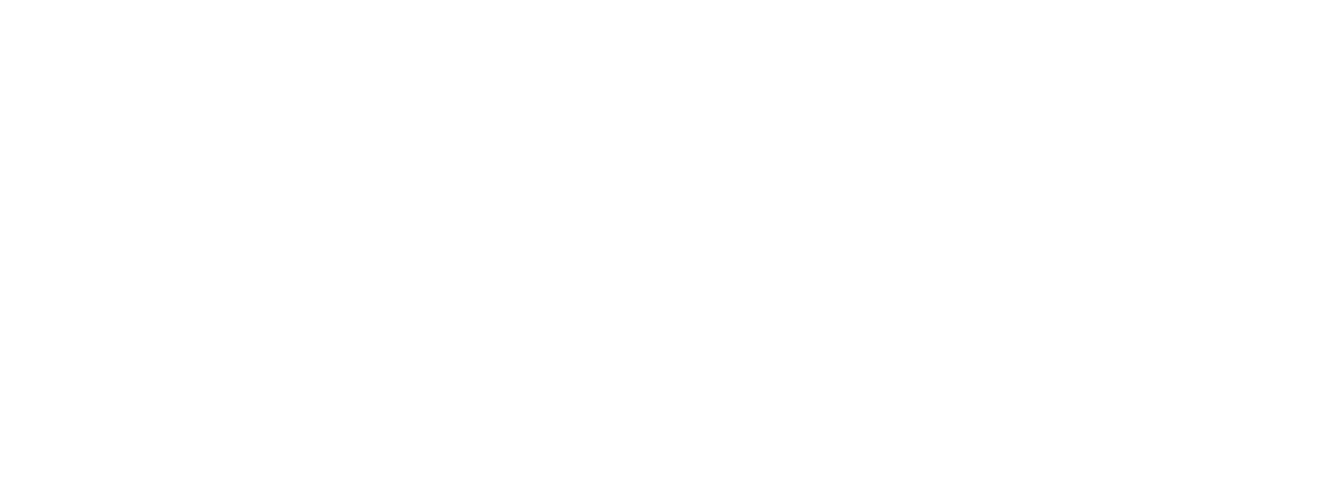 PDPS — Plant Design and Project Services